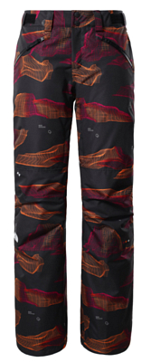 Брюки горнолыжные The North Face Aboutaday Pant W Tnfbbnryhfdmprt