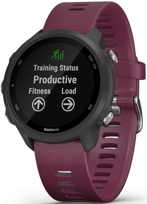 Часы Garmin Forerunner 245 GPS EU Black/Berry