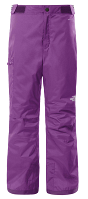 Брюки горнолыжные The North Face Free Ins Pnt G Gravity Purple