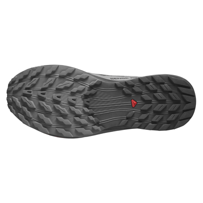 Кроссовки SALOMON Sense Ride 5 GTX Black/Magnet/Black