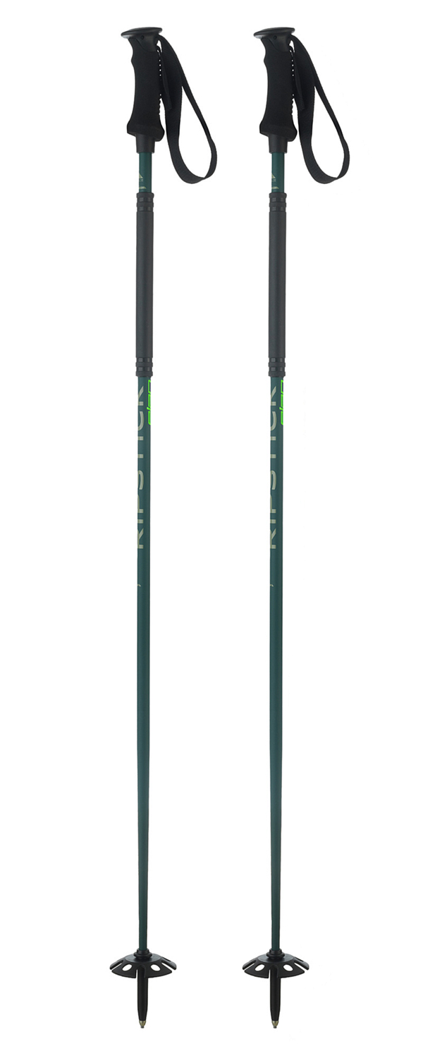 Горнолыжные палки ELAN Ripstick Rod