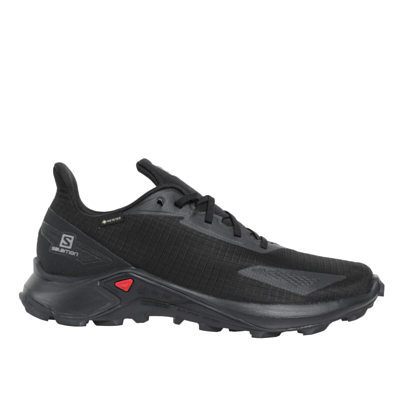 Кроссовки SALOMON Alphacross Blast GTX Black