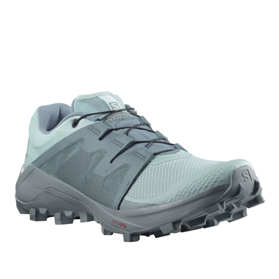 Беговые кроссовки SALOMON Wildcross Gtx W Pastel Turquoi