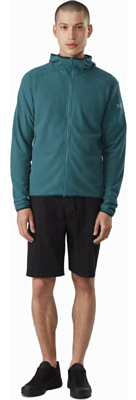 Толстовка для активного отдыха Arcteryx Delta LT Hoody Mens Paradigm