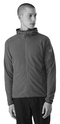 Arcteryx Delta LT Hoody Men s Black