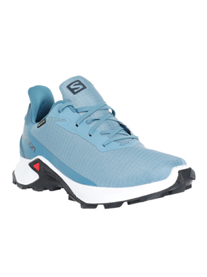 Кроссовки SALOMON Alphacross 3 GTX Bluest/White