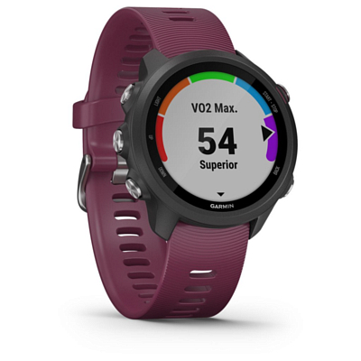 Часы Garmin Forerunner 245 GPS EU Black/Berry