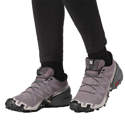 Кроссовки SALOMON Speedcross 6 Moonscape/Black/Ash Rose