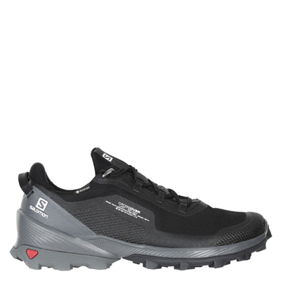 Buy salomon shoes online