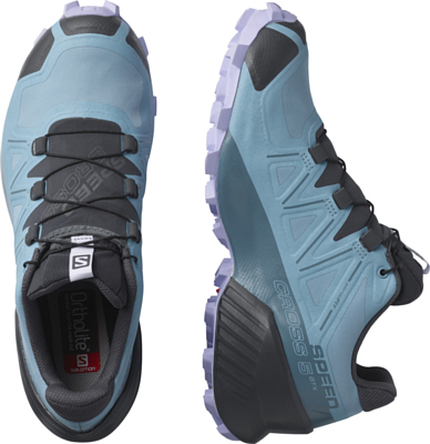 Кроссовки SALOMON Speedcross 5 GTX Delphinium Blue/Mallard Blue/Lavender