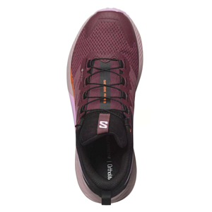 Кроссовки SALOMON Sense Ride 5 GTX Catawba Grape/Orchid Bouquet/Cherry Tomato