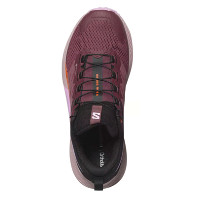 Кроссовки SALOMON Sense Ride 5 GTX Catawba Grape/Orchid Bouquet/Cherry Tomato