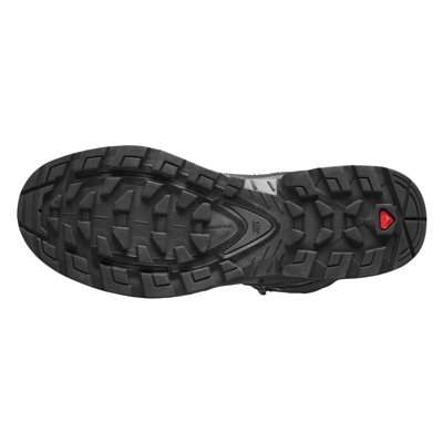 Ботинки SALOMON Quest 4 Gtx Magnet/Black/Quarry