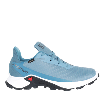 Кроссовки SALOMON Alphacross 3 GTX Bluest/White