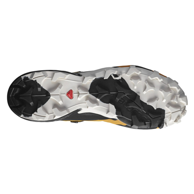 Ботинки SALOMON Cross Hike Mid Gtx Autumn Blaze/