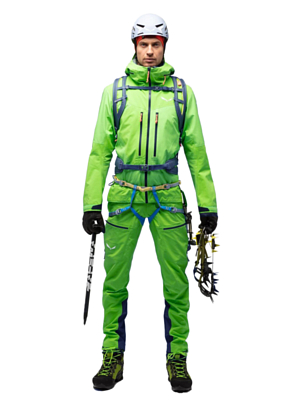 Куртка Salewa Ortles 3 Gtx Pro M Jkt Pale Frog