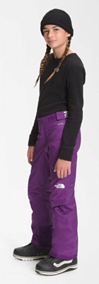 Брюки горнолыжные The North Face Free Ins Pnt G Gravity Purple