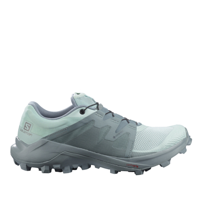 Беговые кроссовки SALOMON Wildcross Gtx W Pastel Turquoi