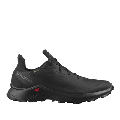 SALOMON Alphacross 3 Gtx Black Black B