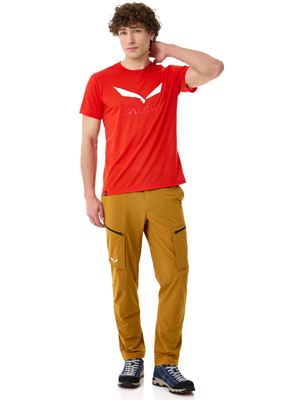 Футболка Salewa Solidlogo Dry Flame