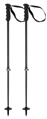 Телескопические горнолыжные палки ELAN Voyager Rod