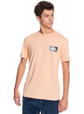 Футболка для активного отдыха Quiksilver Isleofstokess Apricot