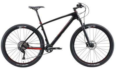 Велосипед Welt Rubicon Carbon Race 29 2021 Matt black