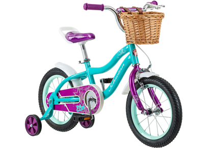 Велосипед Schwinn Elm 14 + корзина 2022 Teal