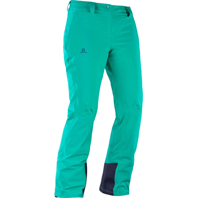 Брюки горнолыжные Salomon 2018-19 ICEMANIA PANT W Waterfall