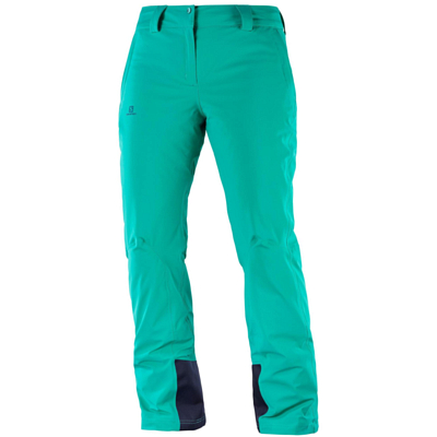 Брюки горнолыжные Salomon 2018-19 ICEMANIA PANT W Waterfall