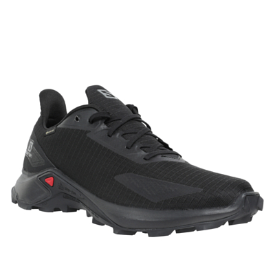 Кроссовки SALOMON Alphacross Blast GTX Black