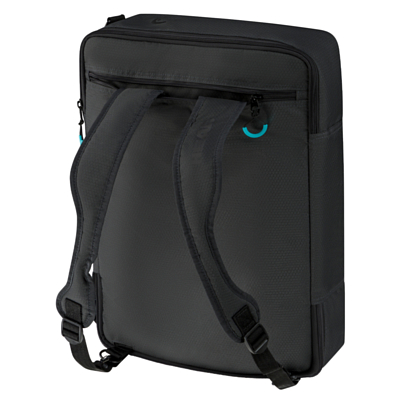 Сумка для ботинок HEAD Carry On 25L Black/Anthracite