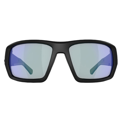 Очки солнцезащитные BLIZ Peak Photochromic S2-4 Matt Black