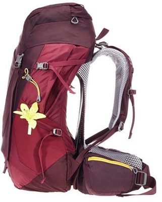 Deuter Futura Pro 34 SL Aubergine Maron