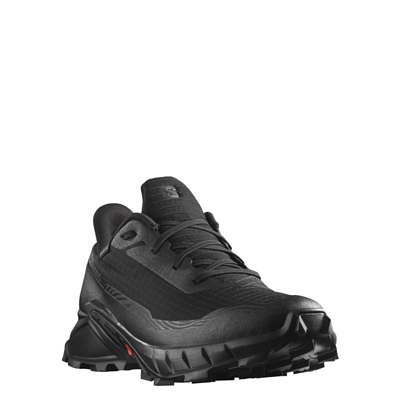 Кроссовки SALOMON Alphacross 5 GTX Black/Ebony