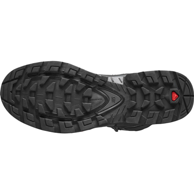 Ботинки SALOMON Quest 4 Gtx Magnet/Black/Quarry