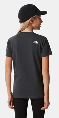 Футболка The North Face Easy Tee S/S Y Asphalt Grey-Summit Gold Camo Print