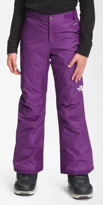 Брюки горнолыжные The North Face Free Ins Pnt G Gravity Purple