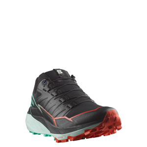 Кроссовки SALOMON Thundercross Black/Cherry Tomato/Electric