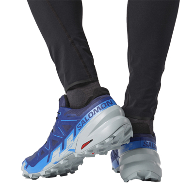 Кроссовки SALOMON Speedcross 6 GTX Blue Print/Ibiza Blue/Quarry