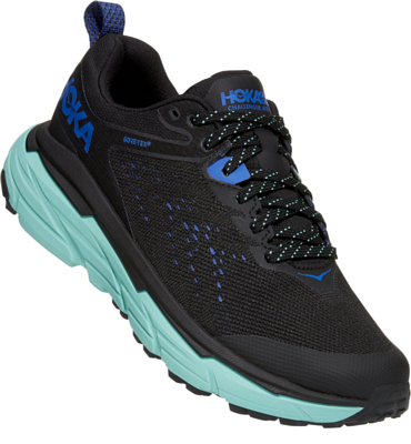 Кроссовки Hoka Challenger Atr 6 GTX Black/Cascade